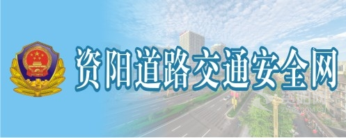 黄色视频,啊啊啊资阳道路交通安全网